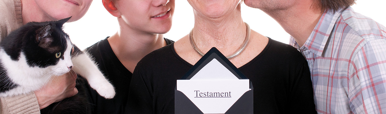 Ältere Frau liest Testament mit Familie zusammen, um Erbschaftsregelungen im Erbrecht in Bad Homburg zu klären.