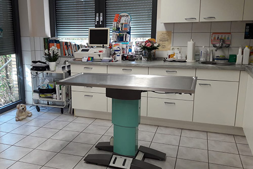 Behandlungsraum in der Haustierpraxis in Bad Homburg mit Untersuchungstisch und tierärztlicher Einrichtung für Vorsorge und Behandlung. 