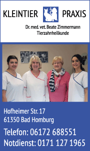 Banner der Kleintierpraxis Dr. Zimmermann in Bad Homburg mit Leistungen, Praxisinfos und Kontakthinweisen für Tierbesitzer.